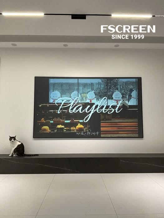 Fscreen의 미래 비전 : 투영의 경계를 재정의합니다